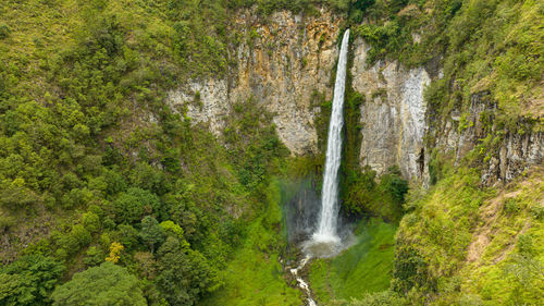 Scenic view of waterfall in forest