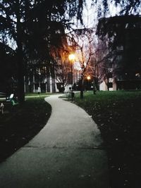 Trees in park at night