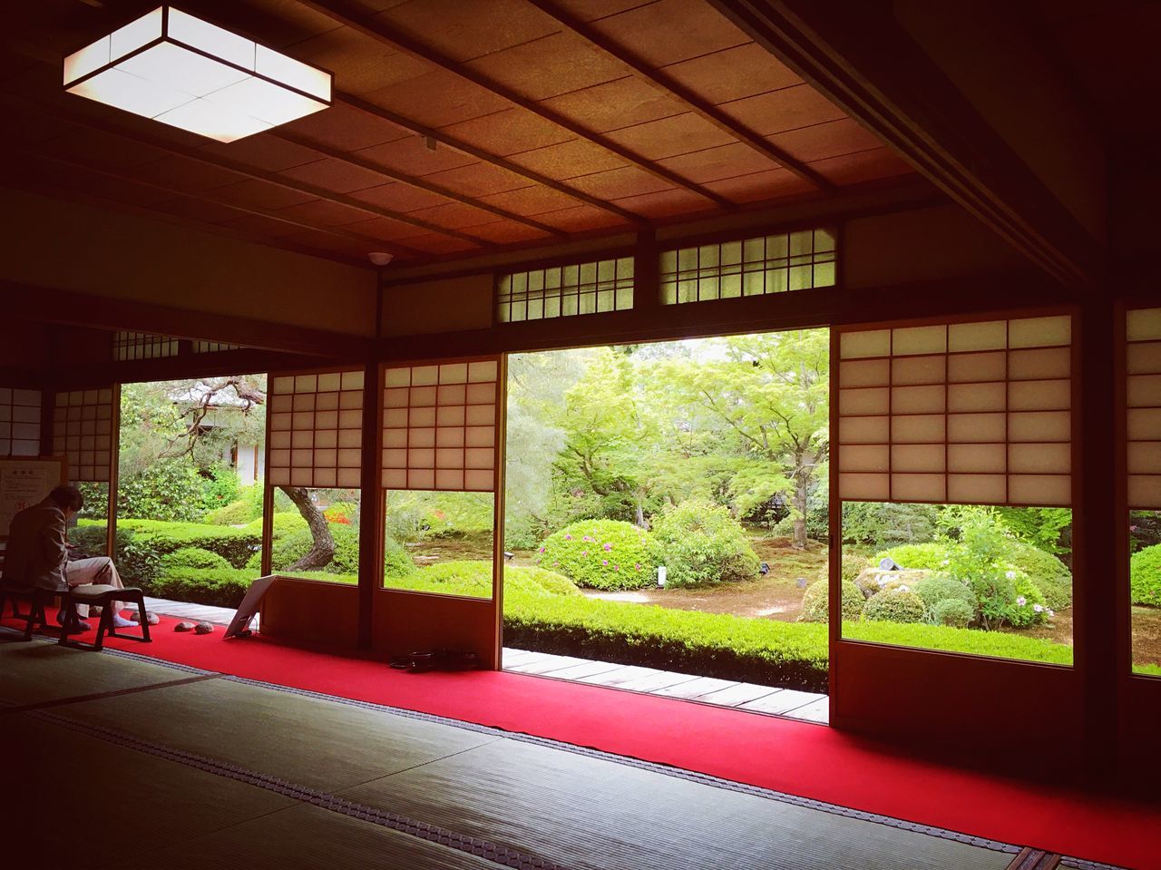 indoors, plant, window, architecture, tree, built structure, no people, day, glass - material, nature, building, growth, green color, house, transparent, empty, door, ceiling