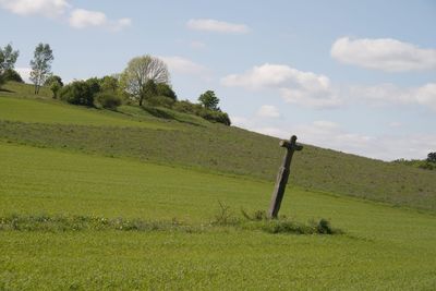 Scenic view of field against sky