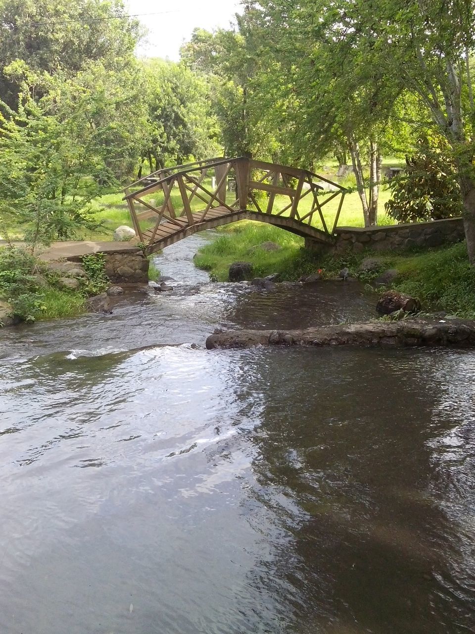 water, tree, waterfront, river, reflection, bridge - man made structure, nature, tranquility, flowing water, green color, beauty in nature, stream, connection, built structure, growth, forest, scenics, tranquil scene, pond, arch bridge