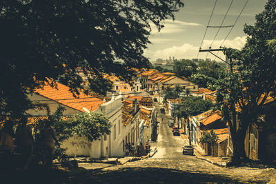 Road by trees in city against sky