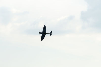 Low angle view of bird flying in sky