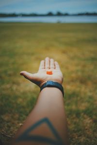 Cropped hand of man holding sweet food on field