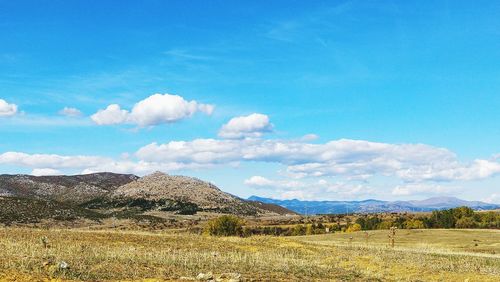 Scenic view of field and mountains against blue sky