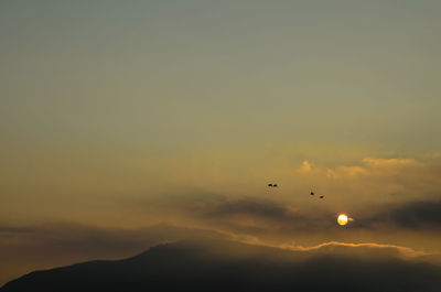 Silhouette birds flying in sky during sunset