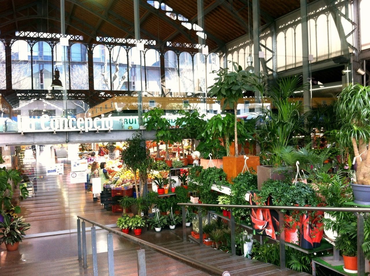 built structure, architecture, indoors, railing, building exterior, plant, potted plant, window, glass - material, day, balcony, in a row, arrangement, growth, greenhouse, no people, sunlight, house, hanging