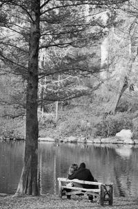 Scenic view of lake in forest