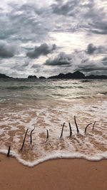 Flock of birds on beach