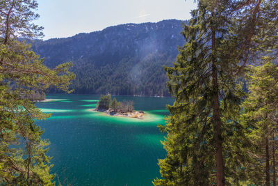 Scenic view of lake by trees in forest