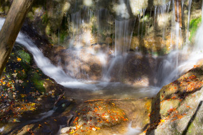 Close-up of waterfall in trees