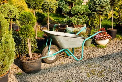 Potted plants in garden