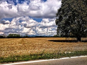 Scenic view of field against sky