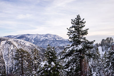 Low angle view of snow covered mountain against sky