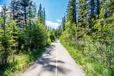 Road amidst trees against sky