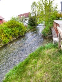 Canal amidst houses and trees