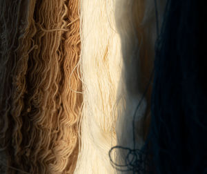 Full frame shot of a horse