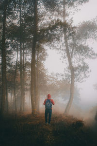 Rear view of man standing on field in forest