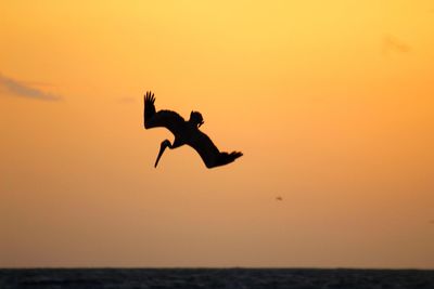 Silhouette birds flying over sea against orange sky