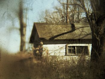 Houses with trees in background