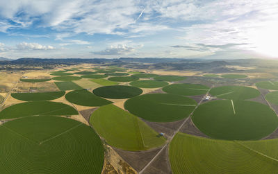 Green crop circles grow in a remove nevada desert