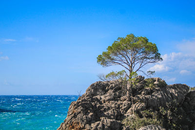 Scenic view of rocks by sea against blue sky