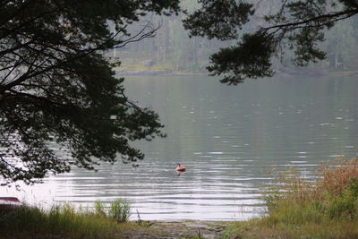 Scenic view of lake