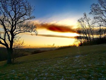 Bare trees on field against sky during sunset