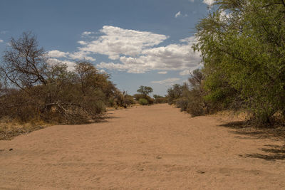  dry riverbed in the south of karibib, erongo, namibia