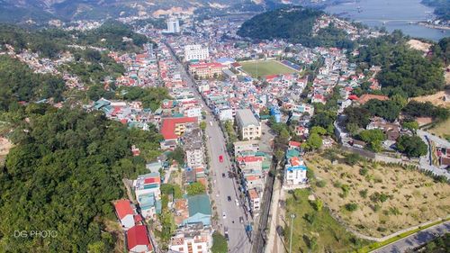 High angle view of townscape and trees in city