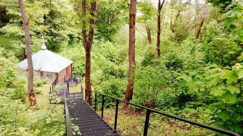 Staircase leading to church in forest