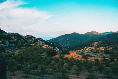 Landscape of the prades mountains, in tarragona, spain. a sunny summer day with green trees