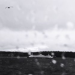 Birds flying over sea against cloudy sky