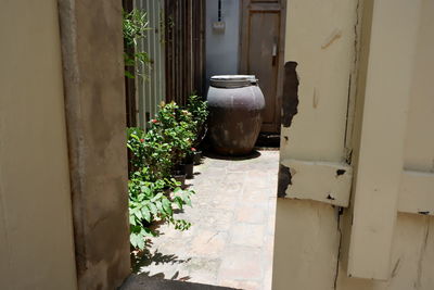 Potted plants on old building