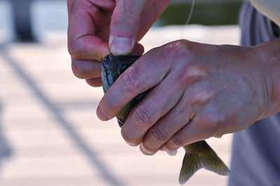 Close-up of man holding fish