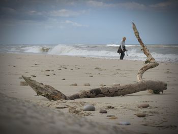 Driftwood at beach with woman in background