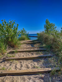 Footpath amidst trees against clear blue sky