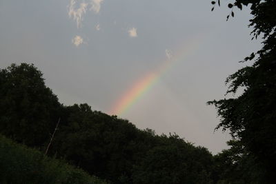 Low angle view of rainbow over trees against sky