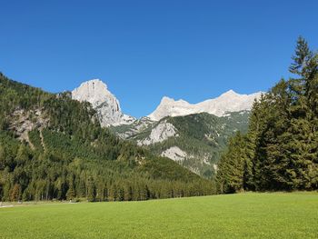 Scenic view of field against clear blue sky