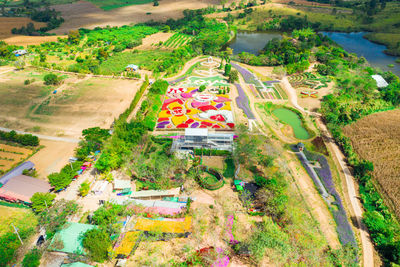 High angle view of trees and plants on field