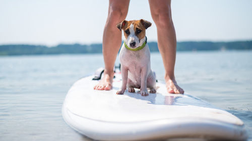 Midsection of man with dog on water