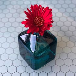 Close-up of red flower in vase on table