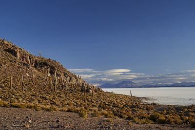 Fish island at salar de uyuni, worlds largest salt flat and biggest lithium source altiplano bolivia