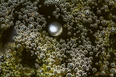 Full frame shot of bubbles in water