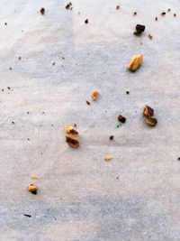 High angle view of bread on rocks