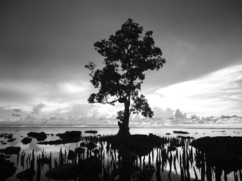Silhouette tree by sea against sky