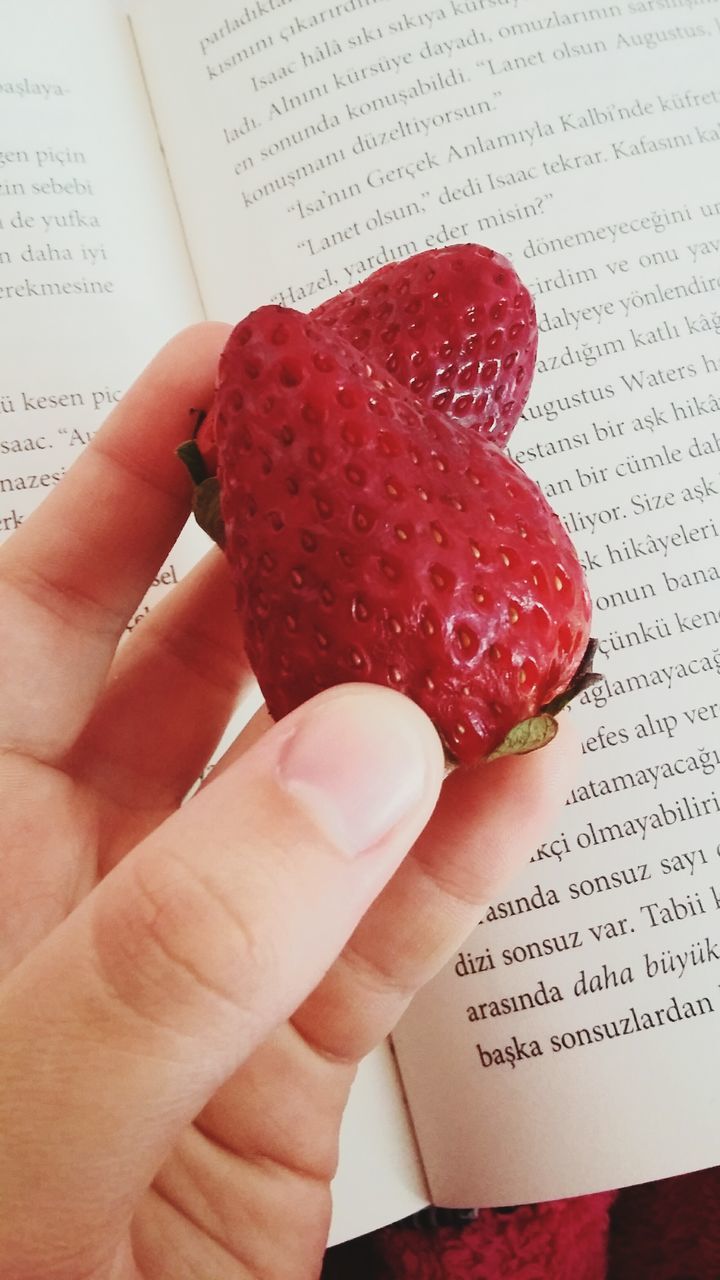 person, part of, holding, cropped, human finger, food and drink, red, indoors, food, freshness, unrecognizable person, close-up, personal perspective, strawberry, high angle view, text, sweet food