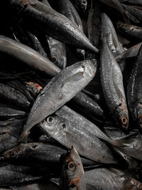 Full frame shot of fish for sale in market