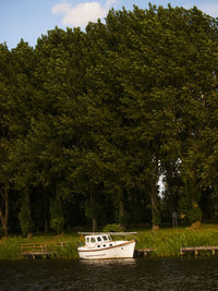 Boat moored in calm lake against trees