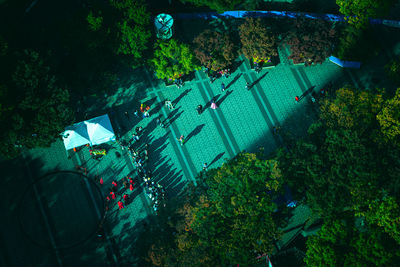 High angle view of people by plants